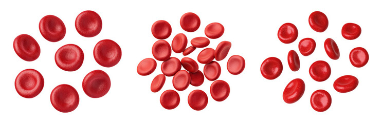 Red Blood Cells Under Microscope Viewpoint Isolated on transparent background