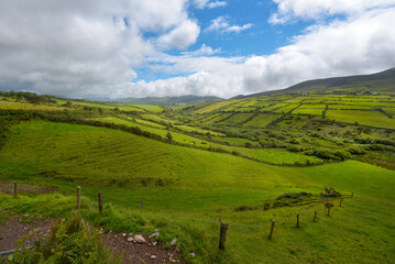 Fototapeta premium typische irische Landschaft