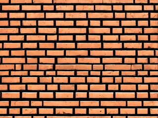Obraz premium Brick Wall Texture