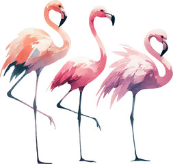 set with pink flamingos in watercolor style 