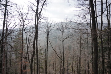 Góry Bardzkie, Polska © Strumyk