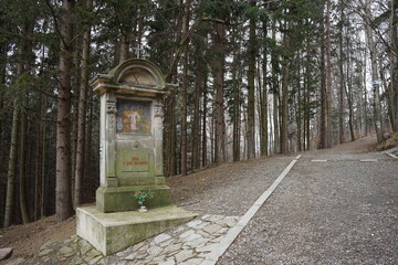 Góry Bardzkie, Polska © Strumyk