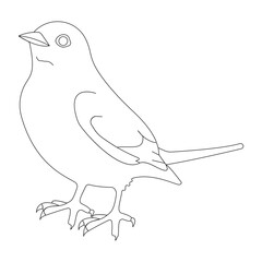 Simple Line Art of a Bird - Minimalist Bird Illustration