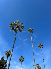 Hearts in LA