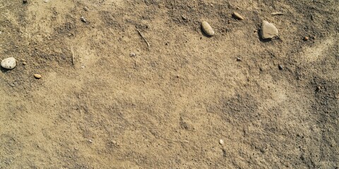 Fototapeta premium Sandy Ground Surface With Scattered Stones