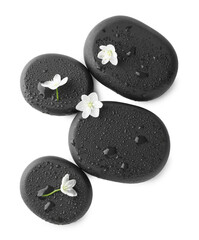 Wet spa stones and beautiful flowers isolated on white, top view
