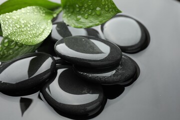 Spa stones and green leaves in water, closeup