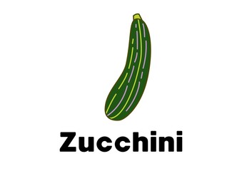 fresh green  zucchini