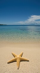 Fototapeta na wymiar Starfish on beach, ocean, blue sky, vacation, seascape