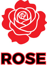 red rose vector illustration
