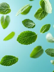 Fresh Mint Leaves Floating on a Light Blue Background for a Refreshing and Natural Vibe