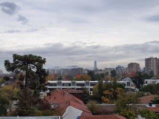 Obraz premium Cloudy Cityscape in Santiago. Araucaria tree, tall building, and San Cristobal hill semi-covered by clouds.