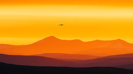 Obraz premium Golden Sunset Over Silhouetted Mountain Range With Bird