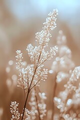 Naklejka premium Delicate wildflower silhouette against soft beige background with dreamy bokeh effect creates serene natural atmosphere for wellness and spa designs.