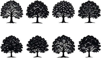 set of oak trees silhouettes