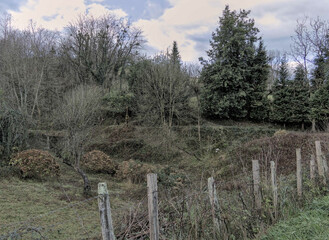 fence protecting a piece of land