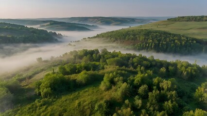Obraz premium Very beautiful landscape with fog and green nature in the Republic of Moldova Rural nature in Eastern Europe