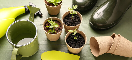 Peat pots with seedlings and gardening tools on green wooden background