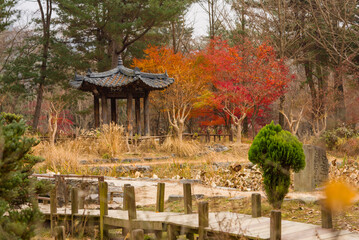 japanese garden in autumn