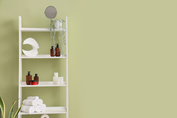 Shelf unit with bath supplies near green wall