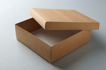 One open cardboard box on white background. Mockup for design