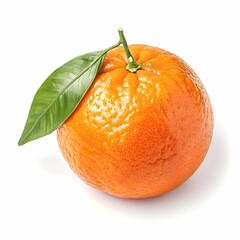 Orange fruit isolated on a white background.