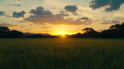 Obraz premium Sunset over lush fields rural landscape nature photography tranquil environment wide-angle view serene atmosphere for relaxation