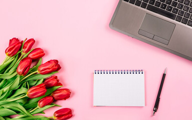 Bouquet of red tulips on pink paper background with a laptop, spiral notebook and pen are a template for advertising or visualization of blog with copy space text place. Business holiday. Certificate