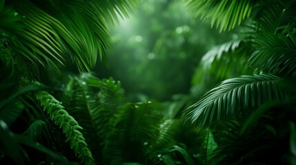 Lush rainforest filled with vibrant green foliage and exotic plants