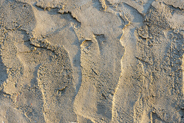 Textured surface showing patterns created by dry sand and sunlight