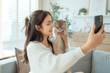Smiling young asian woman taking selfie on smartphone with Scottish fold cat on couch at home,...