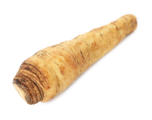 One fresh parsnip isolated on white. Root vegetable