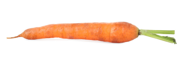 One fresh carrot isolated on white. Root vegetable