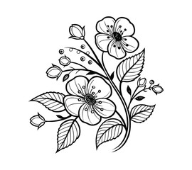 Create a highly detailed black-and-white line art illustration of a floral arrangement. The design should feature three large flowers with symmetrical petals, intricate circular centers.