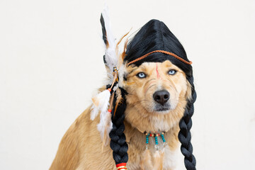 blue-eyed dog at carnival dressed as an American Indian