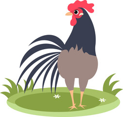 Farm Animals. Cute farm. The rooster stands on the green grass. Collection of farm animals. Baby flat vector illustration. Isolated