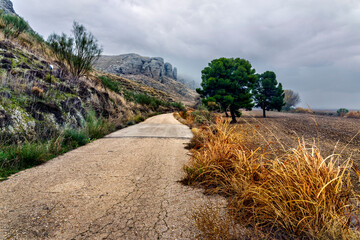 Fog in the cliff of La Sopeña.
