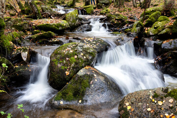 Rocas con musgo en el arroyo