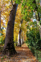 Otoño en los Jardines del Príncipe