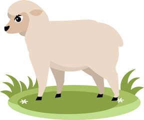 Farm Animals. Cute farm. A white sheep stands on green grass. Collection of farm animals. Baby flat vector illustration. Isolated
