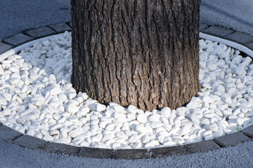 Pebbles mulching of tree in the root circle and protection from grass growth. Landscaping of city park with decorative trees.