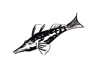 Fish illustration in graphic style