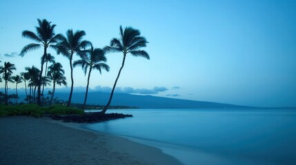 Calm evening beach scene with palm trees maui nature photography serene ocean environment tranquil viewpoint relaxation concept