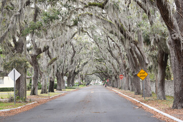 Magnolia Avenue in St. Augustine Florida