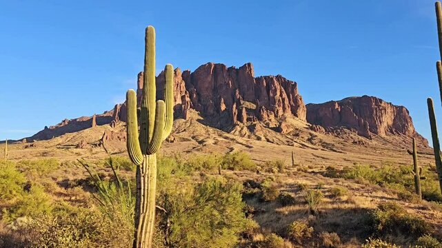 Arizona desert with saguaro cactus and Superstitious Mountains near sunset. Slow, side pan, walking motion.