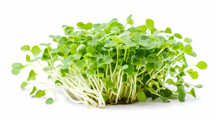 Obraz premium Small green sprouts thrive under natural light in a minimalistic kitchen setting