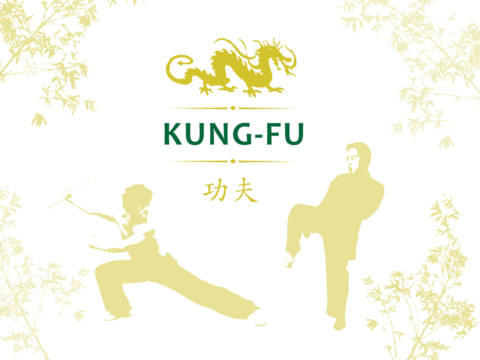 vector illustration of a kung-fu fighters and dragon symbol