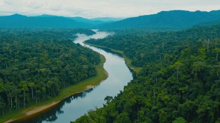 Aerial view of a serene river winding through lush tropical forests in a remote wilderness landscape