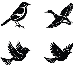 Fototapeta premium set of birds silhouettes Flock of flying birds silhouette vector, Flying bird set of silhouettes of birds
