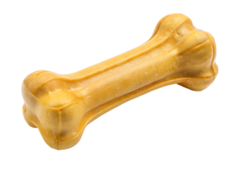 dog bone isolated on white